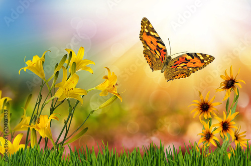 beautiful butterfly and flowers on a colorful blurred background