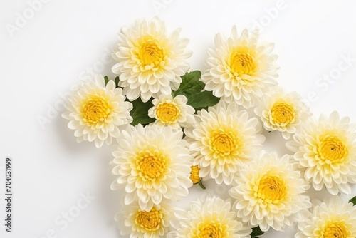  a bunch of white and yellow flowers on a white surface with green leaves on the top of the petals and the bottom of the flowers on the bottom of the petals.