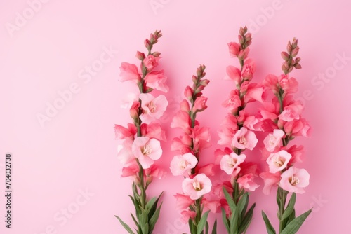  a group of pink flowers sitting on top of a pink table next to each other on top of a pink surface with a green stem in the middle of the middle.