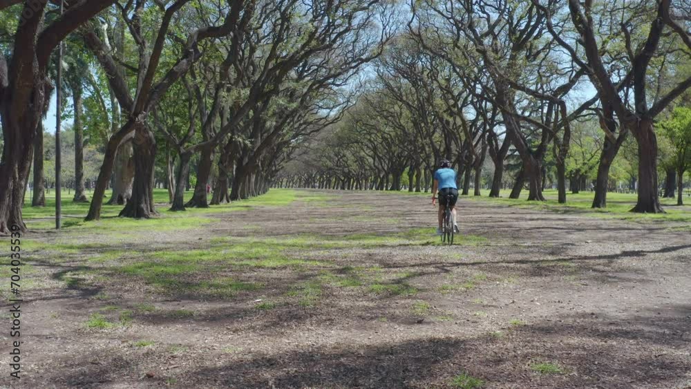 Male bicyclist in helmet and sportswear riding a bike away from the camera along park alley. Back view, high angle shot made with drone Male bicyclist in helmet and sportswear riding a bike away from the camera along park alley. Back view, high angle shot made with drone