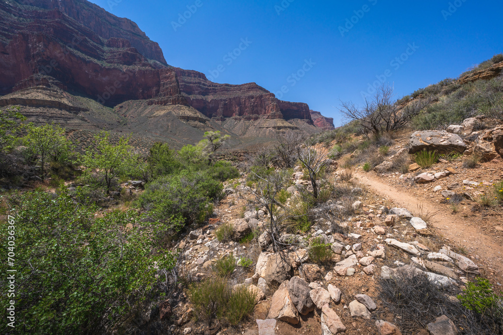 hiking the tonto trail in the grand canyon national park, arizona, usa