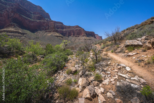 Obraz na płótnie hiking the tonto trail in the grand canyon national park, arizona, usa w salonie