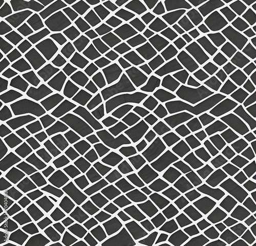 black and white background, abstract template, surface design