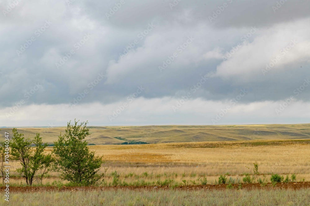 Landscape of yellow steppe and sky with clouds