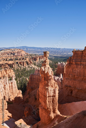 A rock hoodo stands over a canyon full of coniferous trees.