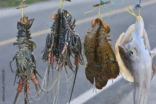 Street Market Catch, Close up of Lobster on Display with Blurred Background, Ready for Sale.