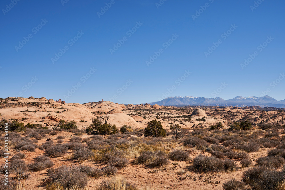 A sprawling array of petrified rock dunes. The la sal mountain range can be seen in the background.