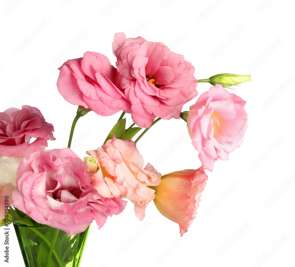 Beautiful pink eustoma flowers on white background Beautiful pink eustoma flowers on white background
