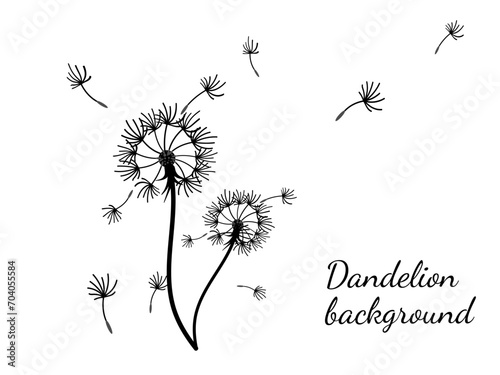 Fototapeta Naklejka Na Ścianę i Meble -  Abstract background dandelion design for decoration design.