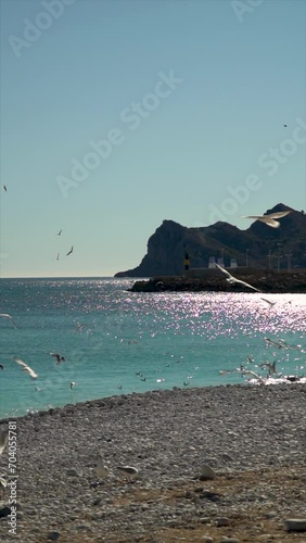Slow motion. Seascape with seagulls flying on the beach, mountains and cliffs in the background, in Altea (Alicante, Spain).