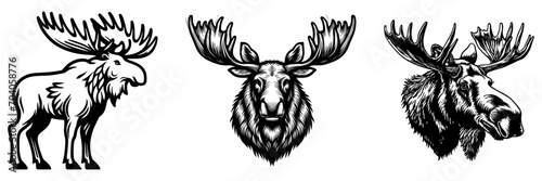 Set of Moose black silhouettes, vector illustration.