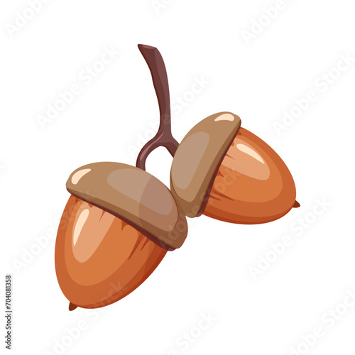 Acorn. Two ripe acorns on a branch. Cartoon acorn, oak nut on a white background, oak fruit, autumn nuts, symbol of autumn. Vector illustration of oak seeds. Flat illustration of acorn. Forest motif. 