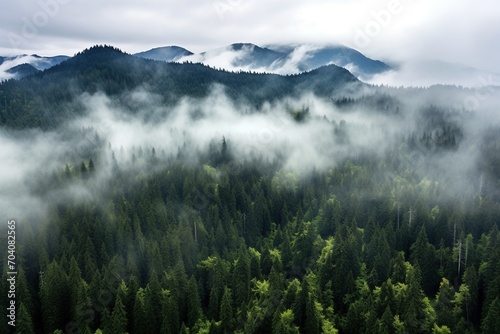Misty Mountains and Foggy Forest © duyina1990