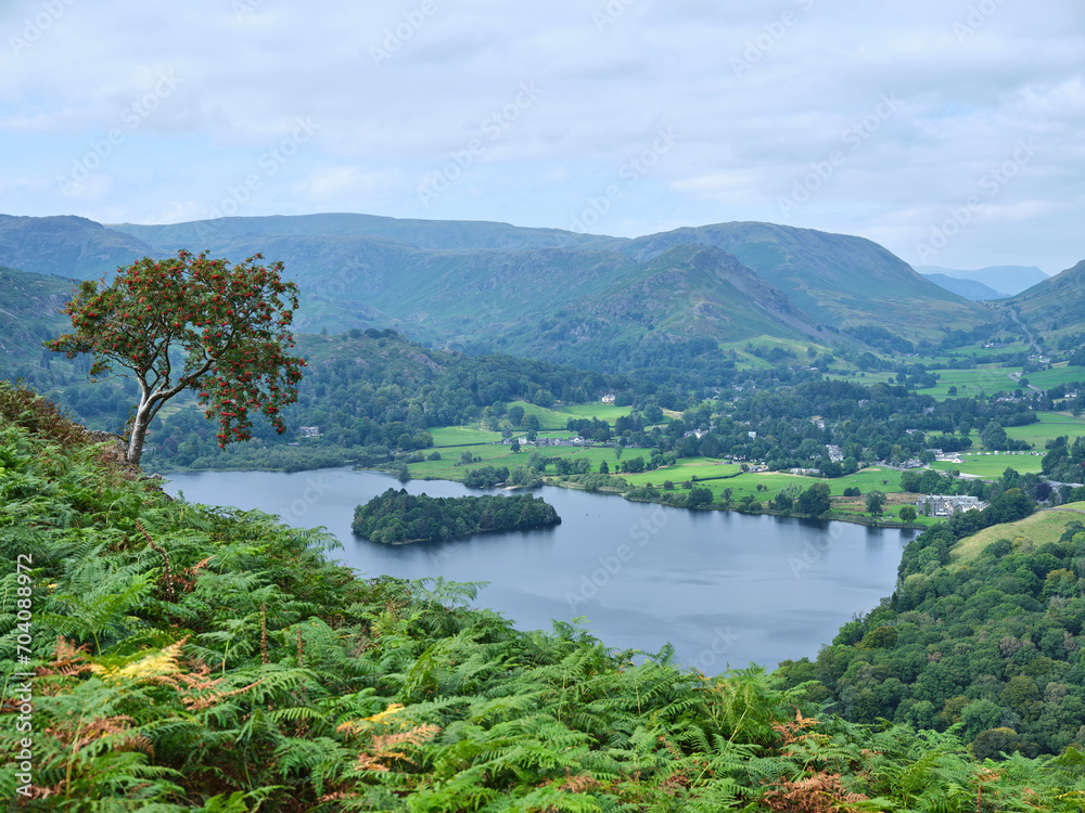 Grasmere from Loughrigg Fell with Rowan Tree with berries in foreground, Lake District, UK