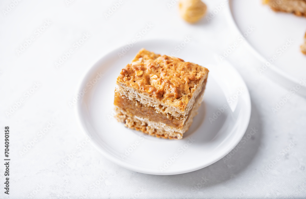 Oatmeal fig bars in a plate Oatmeal fig bars in a plate