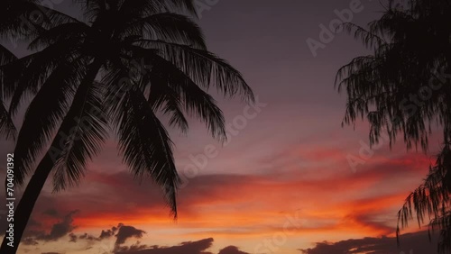 Silhouetted palms and sunset sky on tropical beach, 4k