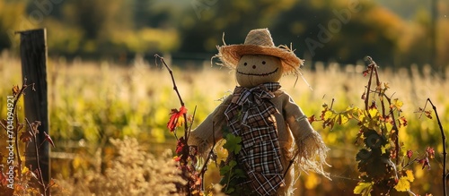 Vineyard's scarecrow. © TheWaterMeloonProjec