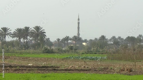 Egyptian Countryside
 photo