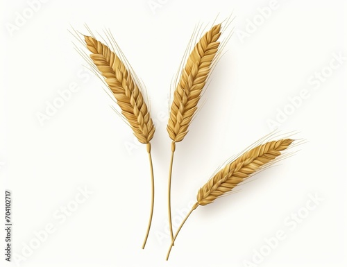 Three stalks of wheat photo