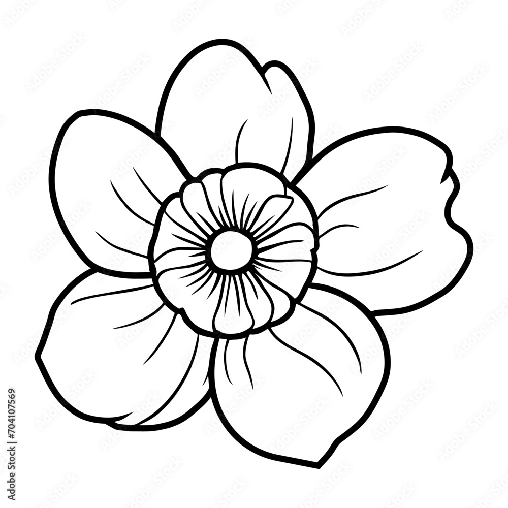 Hand drawn simple flower illustration Hand drawn simple flower illustration