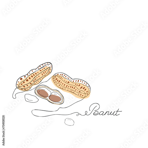 a drawing of peanuts and the word peanut, with a pencil, in the style of fashion illustration, white and brown