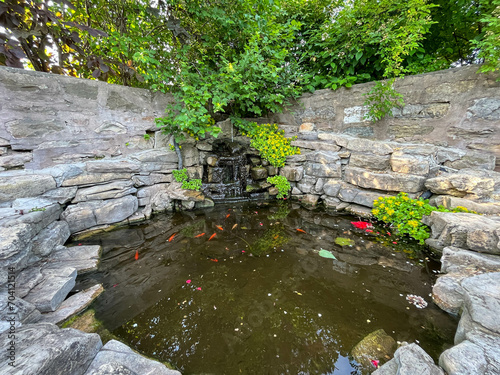 Fish pond in a Japanese garden