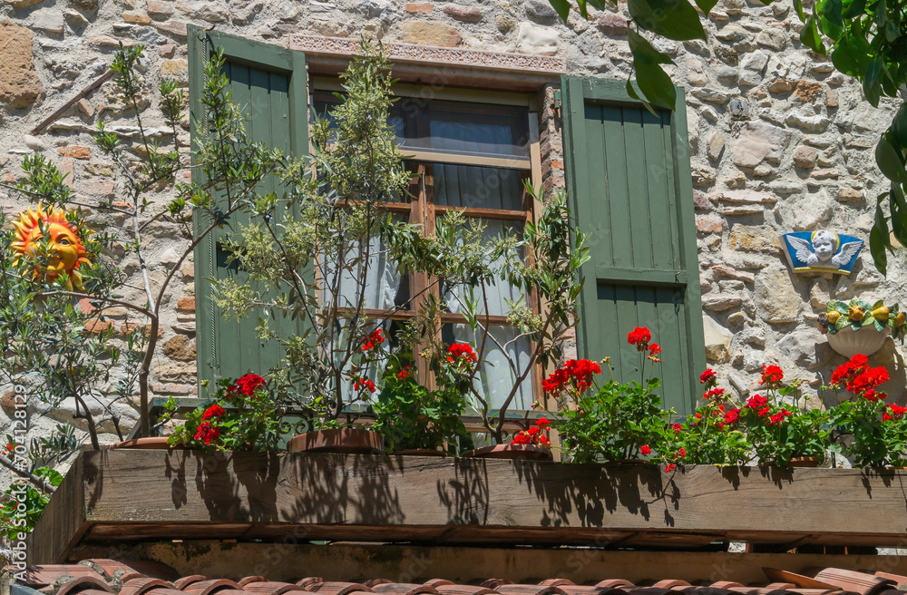 Fenster mit Fensterläden, Olivenbäumchen und Geranien