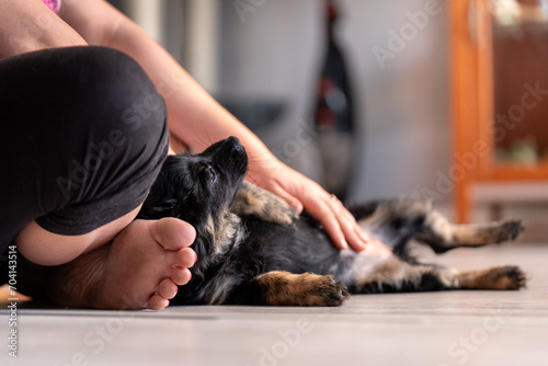 Człowiek siedzi na podłodze w domu i głaszcze wtulonego szczeniaka