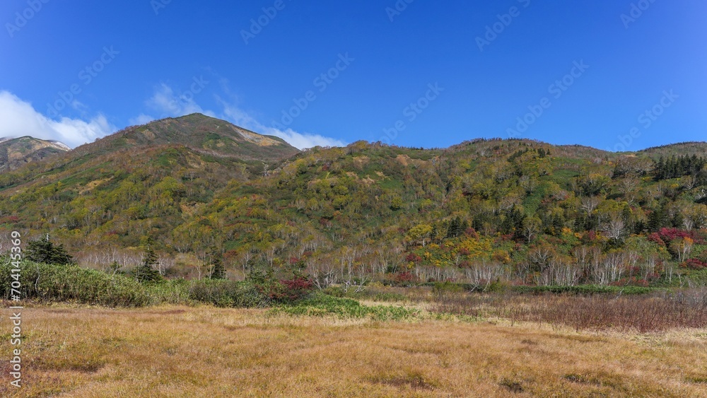 Obraz premium 青空バックに見る栂池自然園の紅葉情景