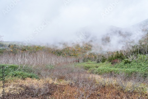 雲海に囲まれた栂池自然園の紅葉情景