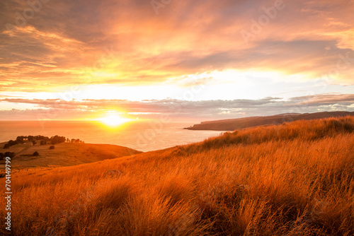 Sun breaking horizon at Godley Head - Banks Peninsula, New Zealand - 01 photo