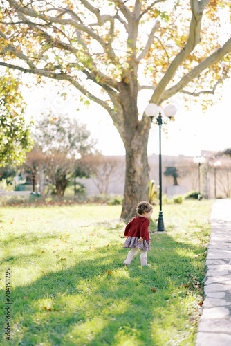 Little girl walks along a green lawn to a paved path. Back view