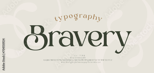Elegant alphabet letters logo font and number. Classic Modern Serif Lettering Minimal Fashion. Typography decoration fonts for branding, wedding, logos. vector illustration.eps