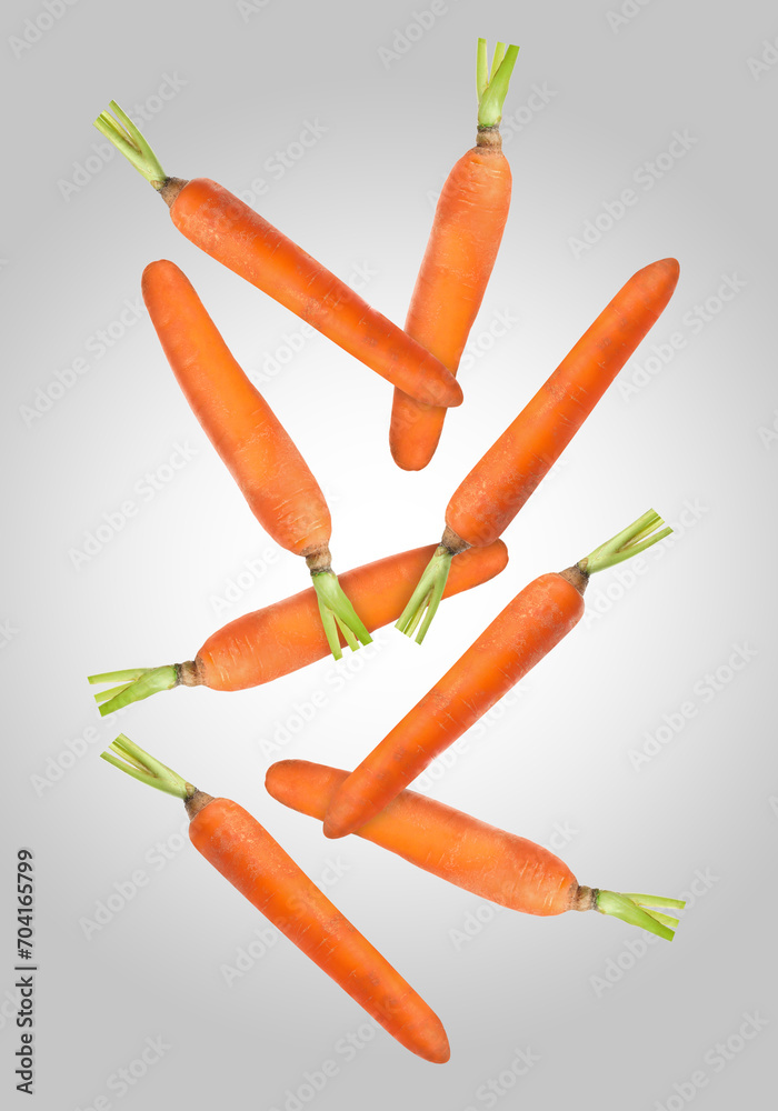 Fresh ripe carrots falling on light grey gradient background Fresh ripe carrots falling on light grey gradient background