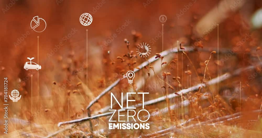 Net zero emissions and carbon neutral concept. Net zero greenhouse gas ...