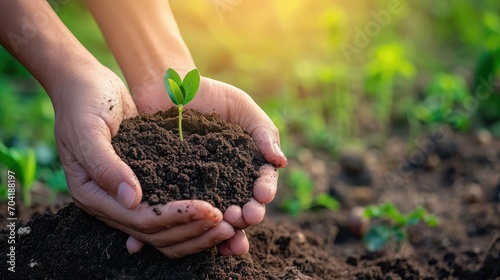 World soil day concept  Human hands holding seed tree with soil on blurred agriculture field background 