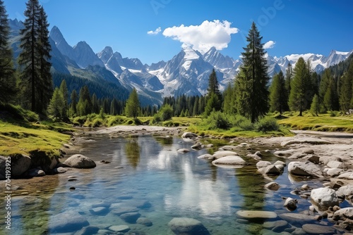 Stunning mountain river landscape with trees and rocks in the foreground