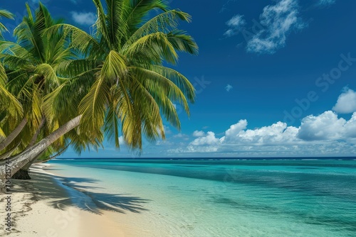 Coco palms lining a pristine beach with turquoise blue water and a deep blue sky