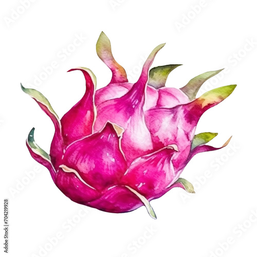 Dragon Fruit Watercolor
