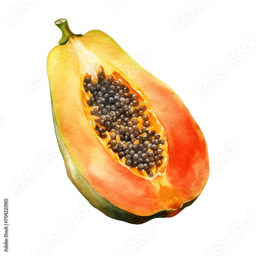 Papaya Watercolor