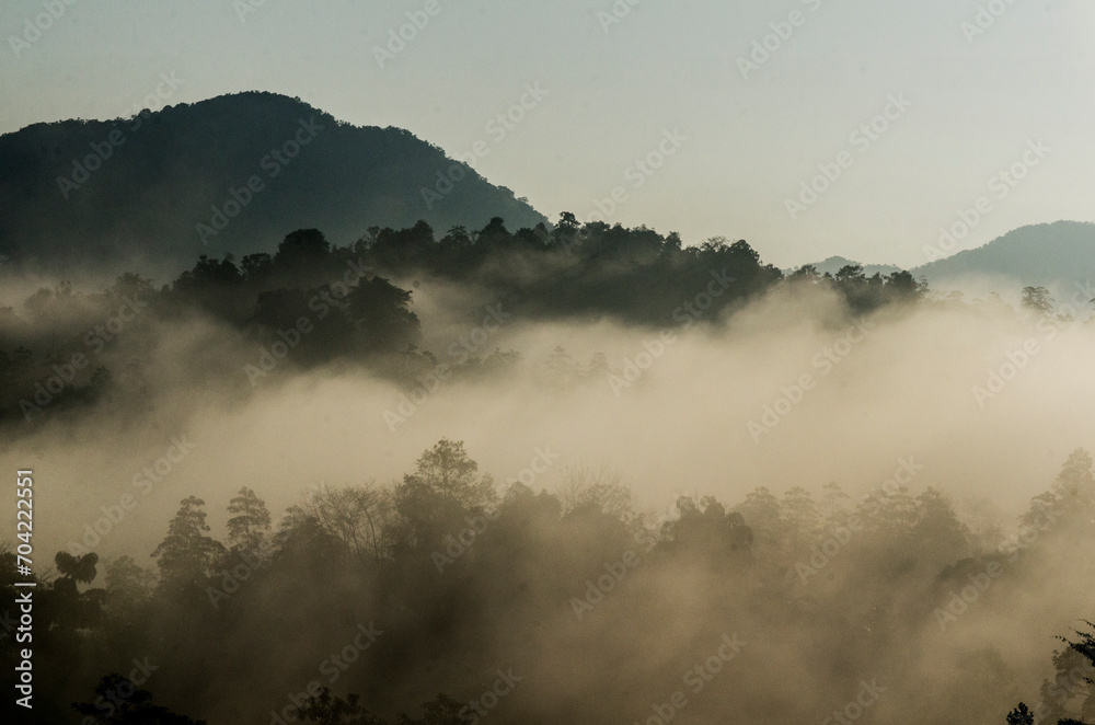 misty morning mist