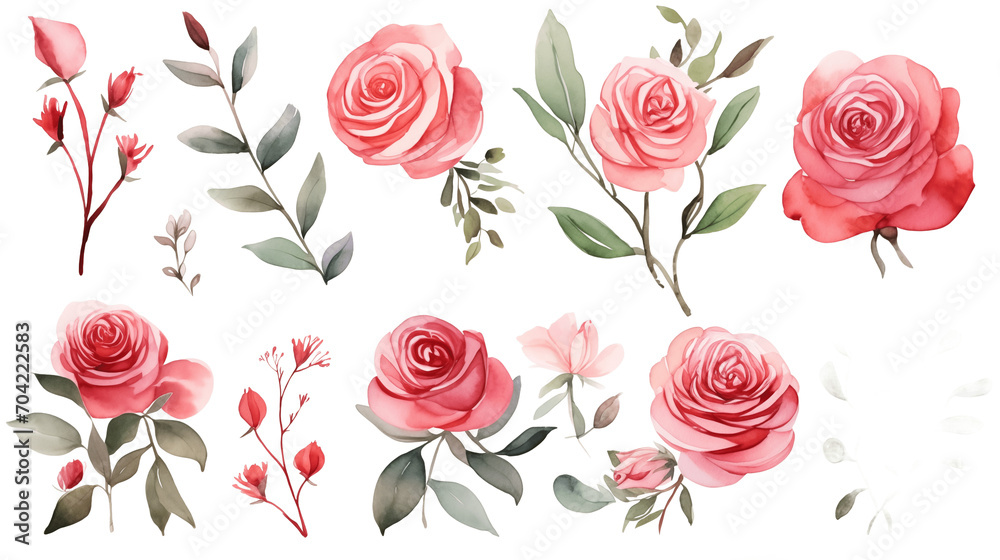 Watercolor elements are pink, red roses, and flowers on a white background Watercolor elements are pink, red roses, and flowers on a white background