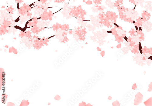 Spring Sakura Frame. Cherry Blossom Background. illlustration. Sakura Bloom Border. photo