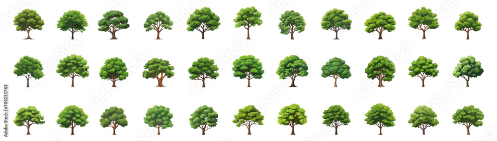 set of illustration of tree. forest trees evergreen. isolated on white background. - obrazy, fototapety, plakaty 