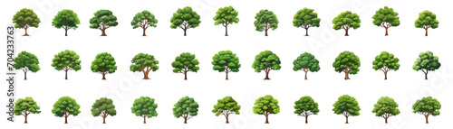 set of illustration of tree. forest trees evergreen. isolated on white background. photo