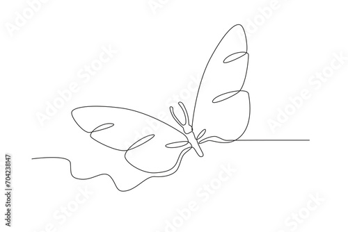 A butterfly with beautiful elongated wings. Butterfly one-line drawing