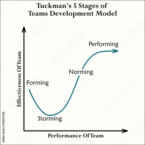 Vector graphical illustration of tuckman's five stages of teams development model. Infographic template