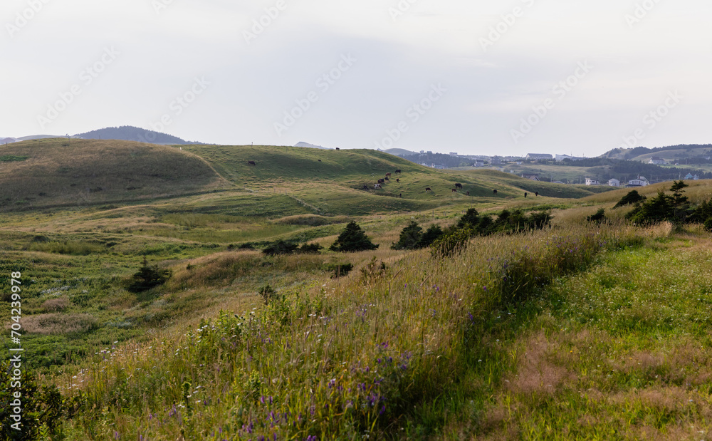 vue sur la vallé à partir du sommet d'une colline en été dans les iles avec du gazon vert au sol