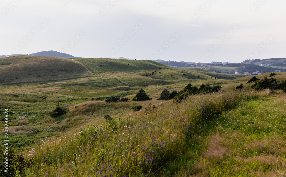 vue sur la vallé à partir du sommet d'une colline en été dans les iles avec du gazon vert au sol vue sur la vallé à partir du sommet d'une colline en été dans les iles avec du gazon vert au sol