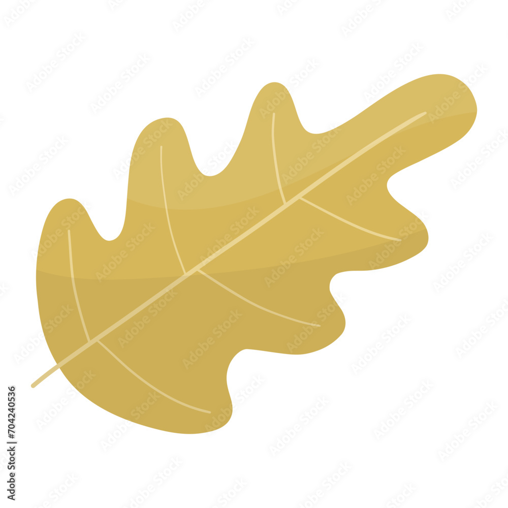 Obraz premium oak leaf isolated on white